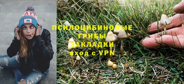 Альфа ПВП Майский