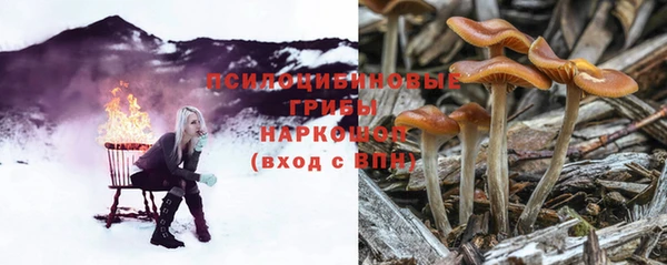 Альфа ПВП Магас