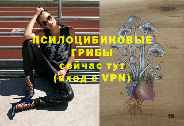 соль ск Магадан