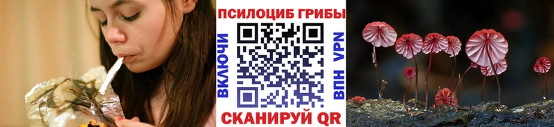 мега зеркало  Владимир  Галлюциногенные грибы Cubensis  даркнет сайт 